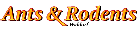 Waldorf Ant Exterminator & Rodent Control Company Logo